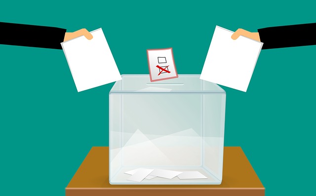 Esercizio del diritto di voto e di eleggibilità in Italia alle elezioni comunali e circoscrizionali per i cittadini dell’ Unione Europea